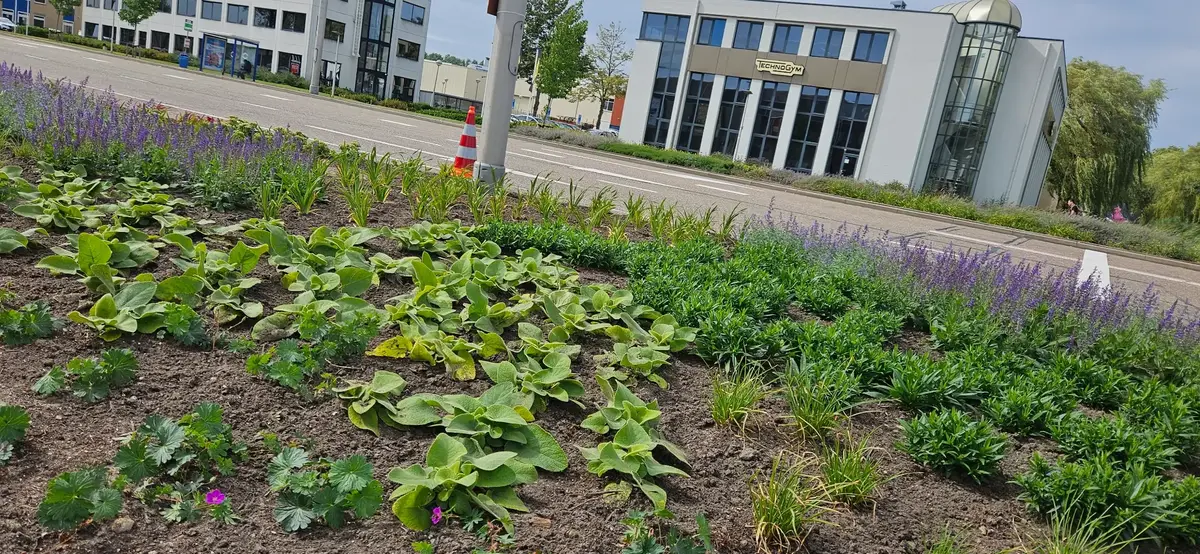 Tuinonderhoud